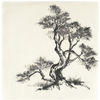 Sumi Tree I -Paper Art-26"x26"