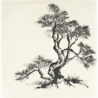 Sumi Tree I -Paper Art-38&quotx38"