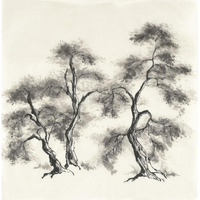 Sumi Tree III -Paper Art-38"x38"