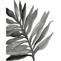 Tropical Palm III Crop BW -Paper Art-18&quotx22"