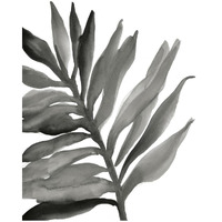 Tropical Palm III Crop BW -Paper Art-22"x26"