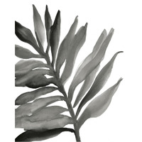 Tropical Palm III Crop BW -Paper Art-30"x37"