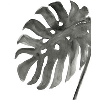 Tropical Palm IV Crop BW -Paper Art-30"x37"