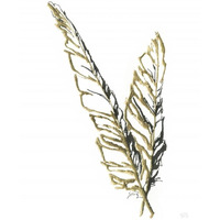 Gilded Raven Feather -Paper Art-26"x34"