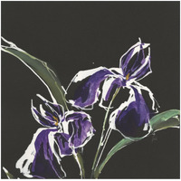 Iris on Black I -Paper Art-32"x32"