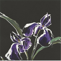 Iris on Black I -Paper Art-38&quotx38"