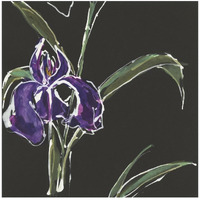 Iris on Black II -Paper Art-26"x26"