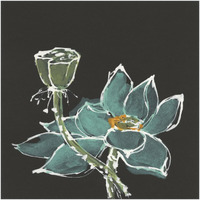 Lotus on Black I -Paper Art-42"x42"