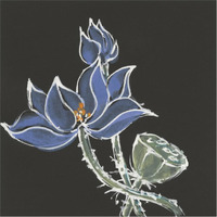 Lotus on Black VI -Paper Art-38"x38"