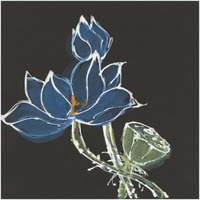 Lotus on Black VII -Paper Art-20"x20"