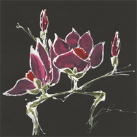 Magnolia on Black III -Paper Art-38"x38"