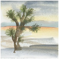 Desert Joshua Tree Cool -Paper Art-20"x20"