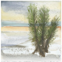 Desert Yucca Cool -Paper Art-26"x26"