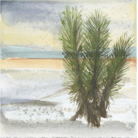 Desert Yucca Cool -Paper Art-38"x38"