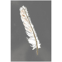 Gold Feathers II on Grey -Paper Art-14"x20"