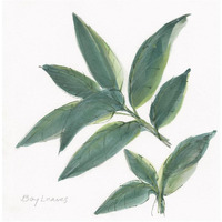 Bay Leaf -Paper Art-20"x20"