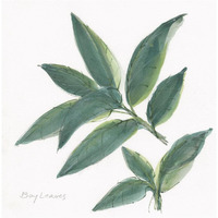 Bay Leaf -Paper Art-26"x26"