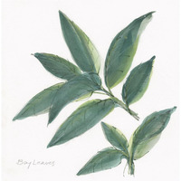 Bay Leaf -Paper Art-38"x38"