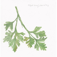 Flat Leaf Parsley -Paper Art-26"x26"