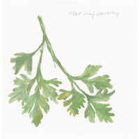 Flat Leaf Parsley -Paper Art-32&quotx32"