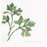 Italian Parsley -Paper Art-20"x20"