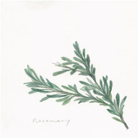 Rosemary -Paper Art-20"x20"