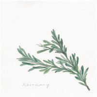 Rosemary -Paper Art-32"x32"