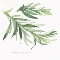 Tarragon -Paper Art-20"x20"