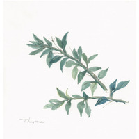 Thyme -Paper Art-32"x32"