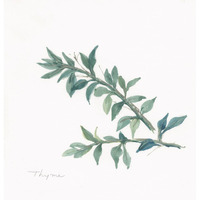 Thyme -Paper Art-38"x38"