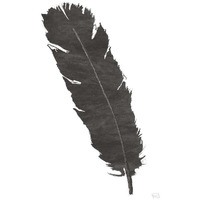 Black Feather V -Paper Art-14"x20"