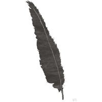 Black Feather VI -Paper Art-14"x20"