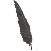 Black Feather VI -Paper Art-18&quotx26"