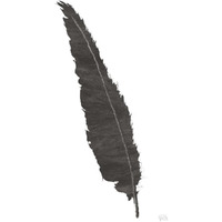 Black Feather VI -Paper Art-22"x32"