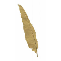 Pure Gold Feather VI -Paper Art-26"x38"