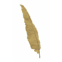 Pure Gold Feather VI -Paper Art-34"x50"