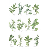 Herb Chart -Paper Art-34"x50"