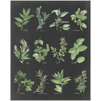 Herb Chart on Black -Paper Art-18&quotx22"