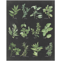 Herb Chart on Black -Paper Art-22"x26"