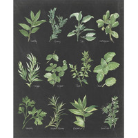 Herb Chart on Black -Paper Art-24&quotx30"