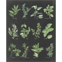 Herb Chart on Black -Paper Art-30"x37"