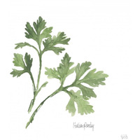 Italian Parsley v2 -Paper Art-38"x38"