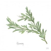 Rosemary v2 -Paper Art-20"x20"