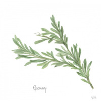 Rosemary v2 -Paper Art-32"x32"