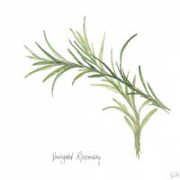 Variegated Rosemary v2 -Paper Art-32"x32"