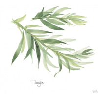 Tarragon v2 -Paper Art-20"x20"