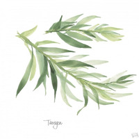 Tarragon v2 -Paper Art-32"x32"