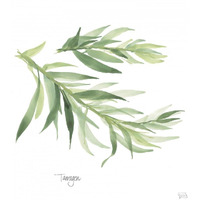 Tarragon v2 -Paper Art-38"x38"