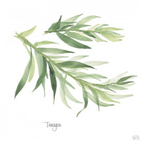 Tarragon v2 -Paper Art-42"x42"