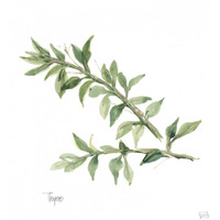 Thyme v2 -Paper Art-38"x38"